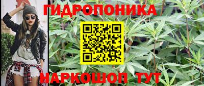 ешки Новокубанск