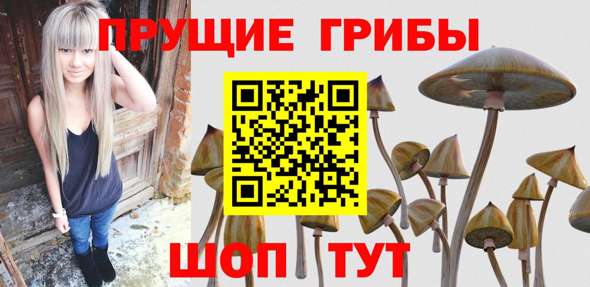Галлюциногенные грибы Psilocybe Шахты