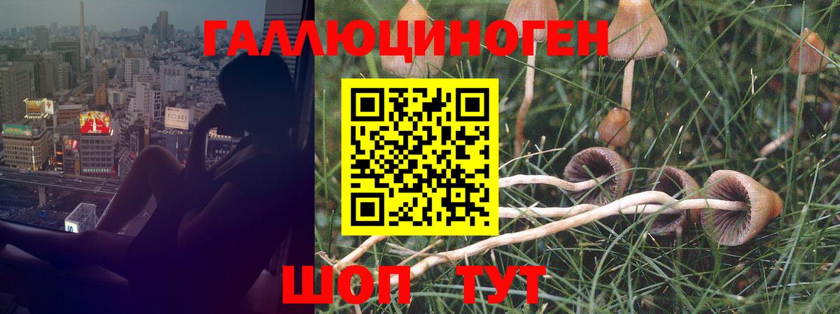 Псилоцибиновые грибы мицелий  Галлюциногенные грибы Magic Shrooms  Вход с VPN  Шахты 